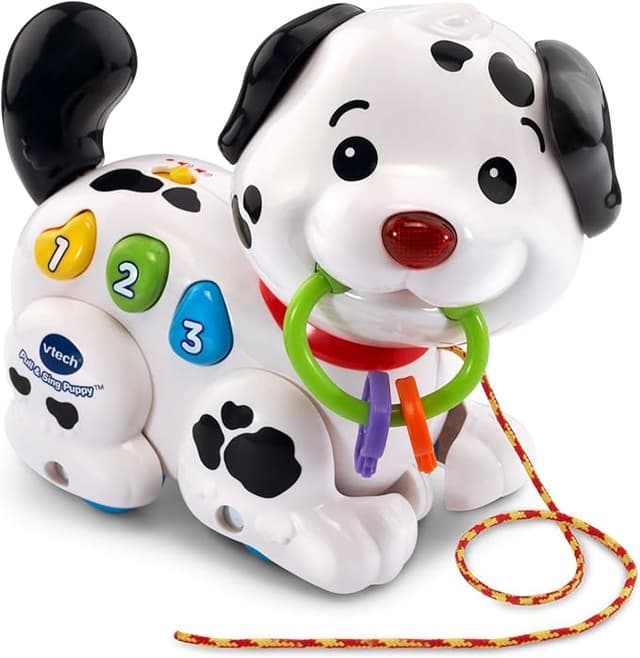 VTech Pull Along Puppy