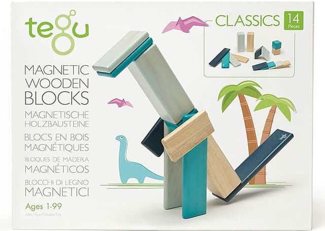 Tegu Magnetic Wooden Blocks